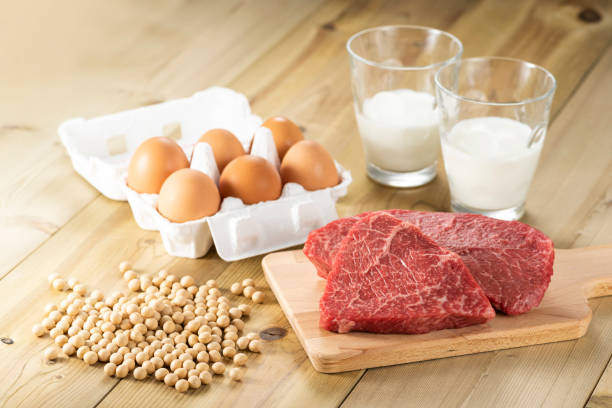 Foods rich in protein